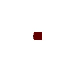 Riyal Qatar (QAR)