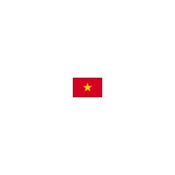1000 Dong Vietnam (VND)