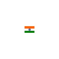 100 Roupie Inde (INR)